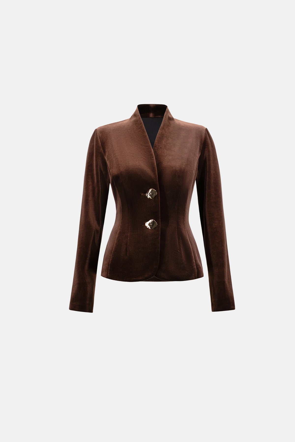 Velvet Fitted Blazer