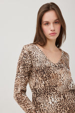 Load image into Gallery viewer, Leopard Print Jumper DW105

