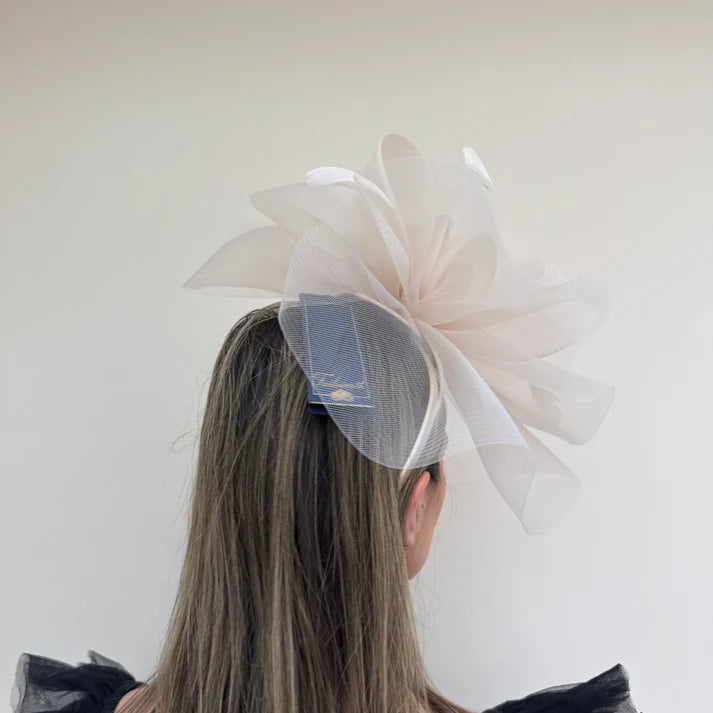 Crin Fascinator fizz - Lucindas on-line