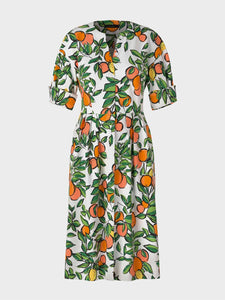 Citrus Fruit Print Dress